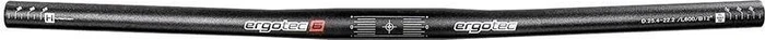 Ergotec 25.4mm/0° up/12° back Flatbar Lenker 600mm schwarz