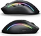 Glorious Model D 2 Wireless schwarz, USB/Bluetooth Vorschaubild