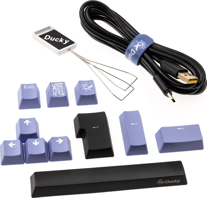Ducky One 2 Pro Mini, PBT, schwarz, LEDs RGB, MX RGB BLUE, USB, DE