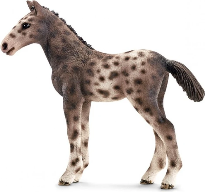 Schleich Horse Club - Knabstrupper Fohlen