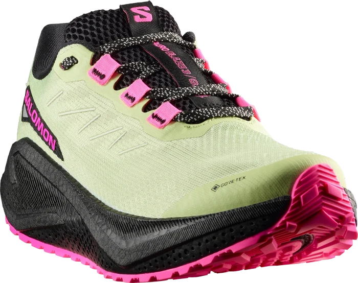 Salomon Aero Glide 3 GRVL GTX black/asphalt (Damen)