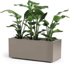 euro3plast Greener Kebe Pflanzkasten 100x40cm taupe