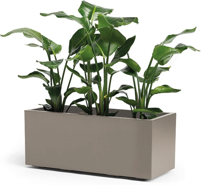 euro3plast Greener Kebe Pflanzkasten 100x40cm taupe