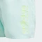 adidas Sportswear Essentials Logo CLX Badeshorts semi flash aqua/green spark (Junior) Vorschaubild