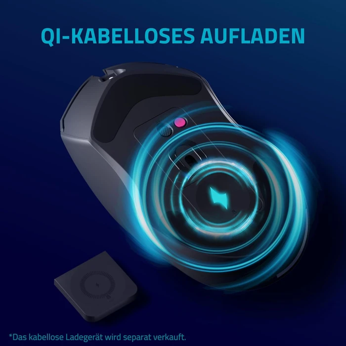 Rapoo V20PRO 8K/4K Wireless Gaming Mouse schwarz, USB