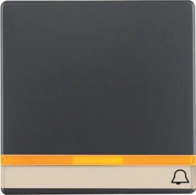 Berker Q.1/Q.3 Wippe mit Aufdruck Beschriftungsfeld Linse, anthrazit samt