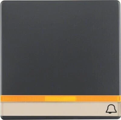 Berker Q.1/Q.3 Wippe mit Aufdruck Beschriftungsfeld Linse, anthrazit samt