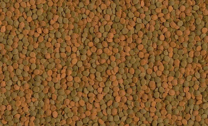Tetra Wafer Mix Hauptfutter für Bodenfische und Krebse, 480g, 1l