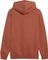Puma Essentials Small Logo Hoodie apple cider (Herren) Vorschaubild