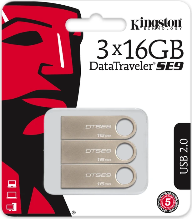 Kingston DataTraveler SE9