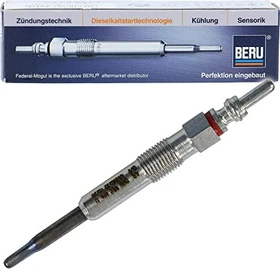 Beru GE100