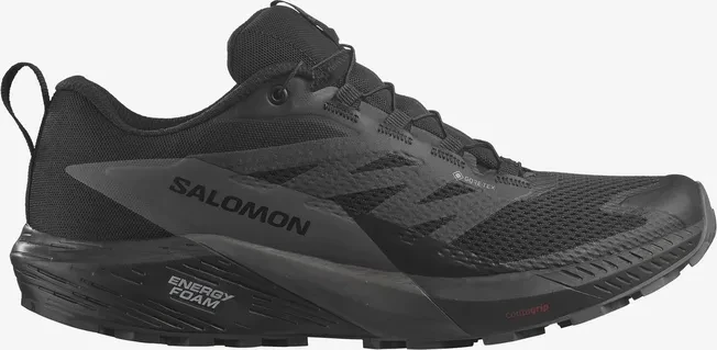 Salomon Sense Ride 5 GTX black/magnet (Herren)