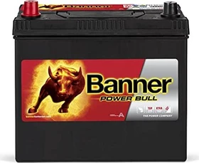 Banner Power Bull P4524