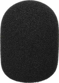 RØDE WS2