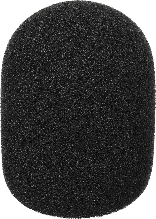 RØDE WS2