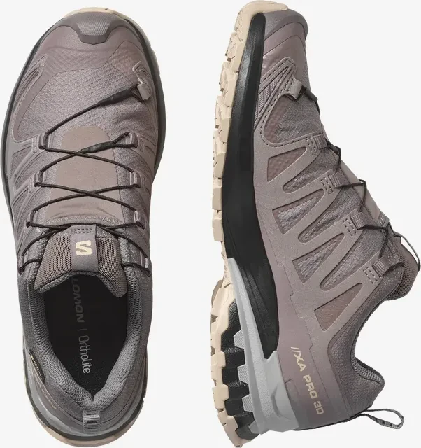 Salomon XA Pro 3D V9 GTX plum kitten/black/gull (Damen)