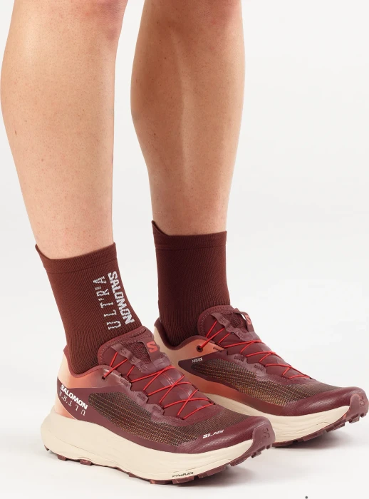 Salomon S/Lab Ultra V2 andorra/burnt sienna/smoke gray
