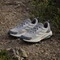adidas Terrex Anylander grey two/chalk white/beige (Damen) Vorschaubild