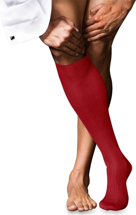 Falke No. 10 Pure Fil d'Écosse Socken cardinal (Herren)