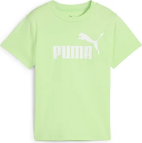 Puma ESS No. 1 Logo T-Shirt kurzarm spring fern (Junior)