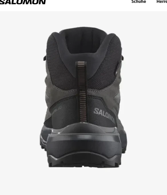 Salomon X Ultra 360 Leather Mid GTX castlerock/asphalt/kelp (Herren)