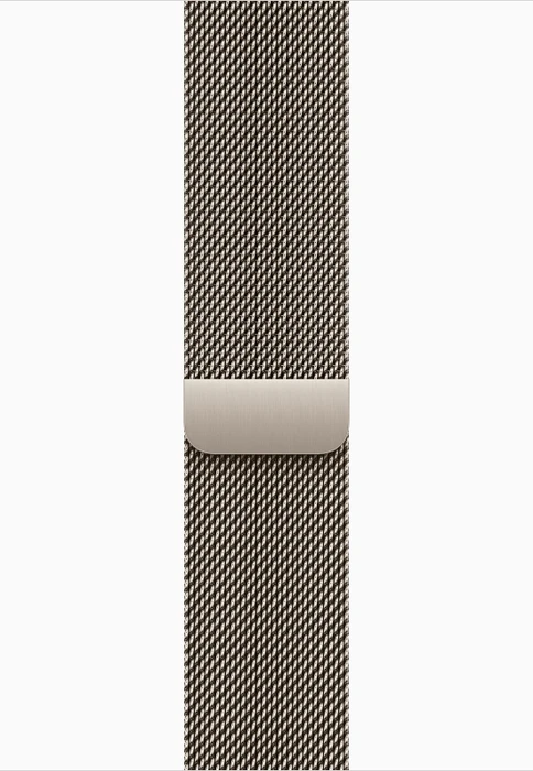 Apple Watch Series 12 (GPS + Cellular) 46mm Titan natur mit Milanaise-Armband M/L natur