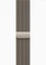 Apple Watch Series 12 (GPS + Cellular) 46mm Titan natur mit Milanaise-Armband M/L natur Vorschaubild