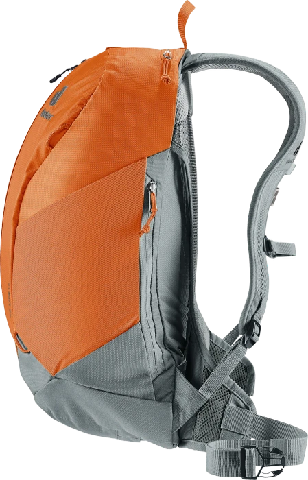 Deuter AC Lite 17 chestnut/teal