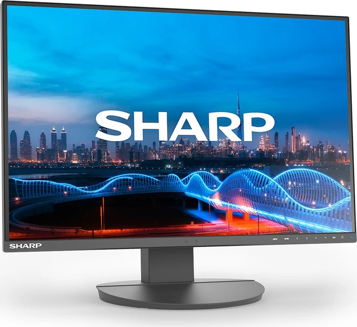 NEC MultiSync EA241W-BK, schwarz, 24"