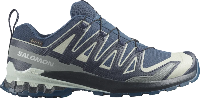 Salomon XA Pro 3D V9 GTX Equipe spellbound/maritime blue/wrought iron (Herren)