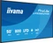 iiyama ProLite LH5066UHSB-B1AG, 50" Vorschaubild