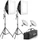 RaLeno 2x 50W LED Softbox Set (PS30)