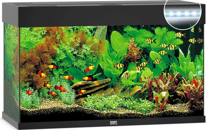 Aquarium-Set, schwarz, 125l