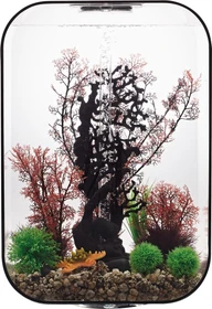 Oase biOrb Life 60 MCR Aquarium schwarz