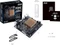 ASUS Prime J3355I-C Vorschaubild