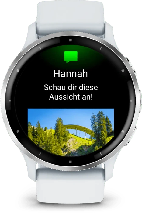 Garmin Venu 3 silver/whitestone
