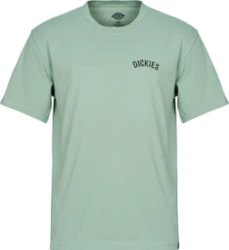 Dickies Snake T-Shirt kurzarm mint (Herren)