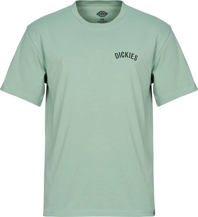 Dickies Snake T-Shirt kurzarm mint (Herren)