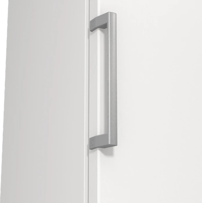 Gorenje FN619EEW5