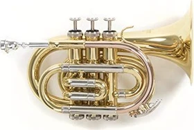 Roy Benson Bb-Taschentrompete PT-302