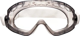 3M GoggleGear 2890S Schutzbrille grau