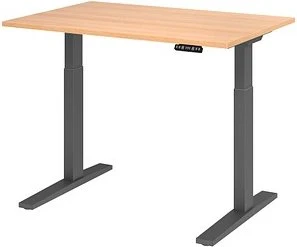 Hammerbacher Ergonomic Aktiv XMKA12 elektrisch höhenverstellbarer Sitz-Steh-Schreibtisch 120x80cm Eiche/grau