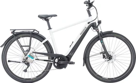 Pegasus Premio Evo 10 Lite 500Wh metallic off white Modell 2023 (Herren)