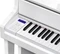 Casio Celviano Grand Hybrid GP-310 weiß Vorschaubild