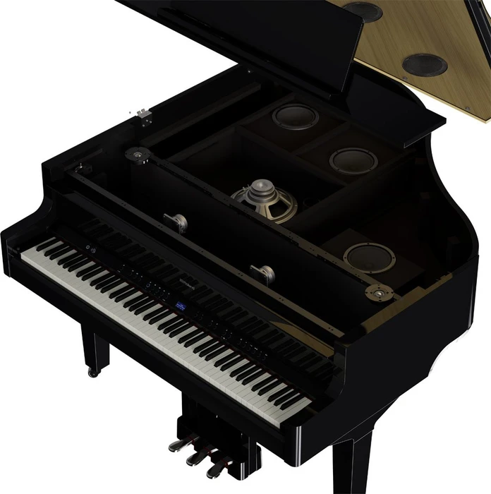 Roland GP-9 schwarz