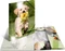 Herma Sammelmappe Glossy Tiere A3 Vorschaubild
