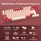 Wobkey Rainy 75 Pro, rot, LEDs RGB, Kailh Cocoa, USB/Bluetooth, US Vorschaubild