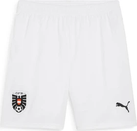 Puma UEFA EURO 2024 Österreich Replica Shorts Hose (Herren)
