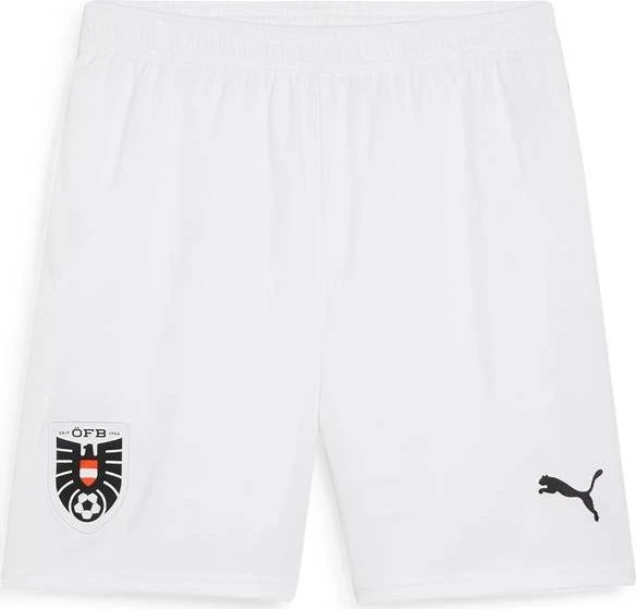 Puma UEFA EURO 2024 Österreich Replica Shorts Hose (Herren)