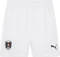 Puma UEFA EURO 2024 Österreich Shorts (Herren) Vorschaubild